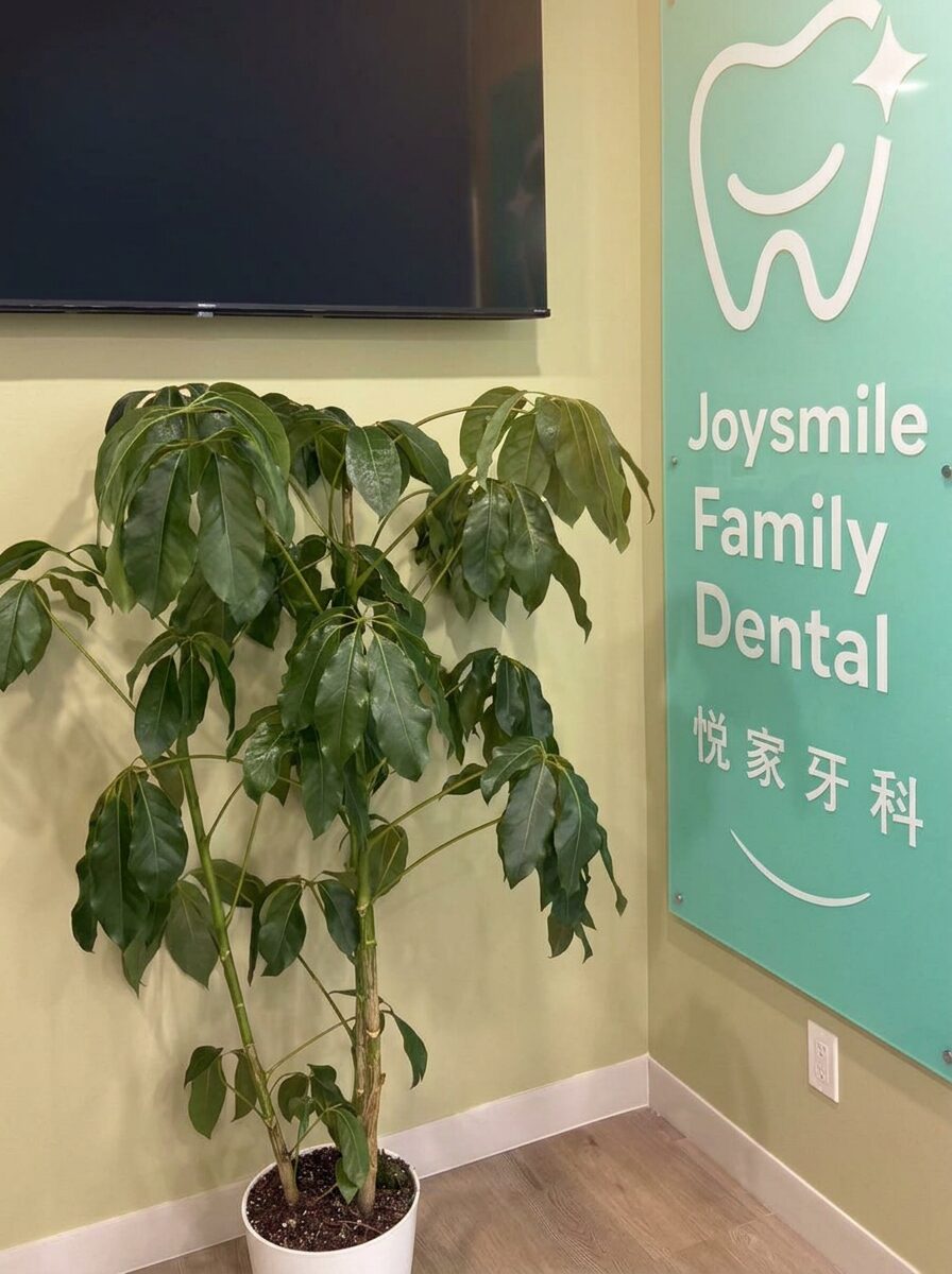 Joysmile Family Dental reception sign with a warm, calm interior